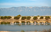 Punta de la Banya